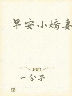 早安小娇妻