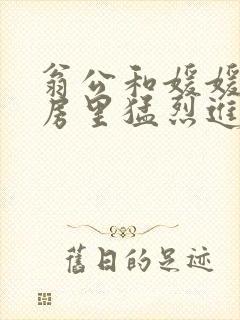 翁公和媛媛在厨房里猛烈进出