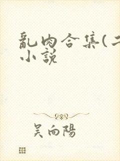 乱肉合集(二)小说