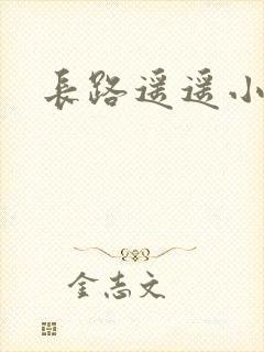 长路遥遥小说