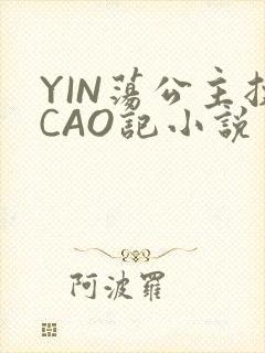YIN荡公主挨CAO记小说