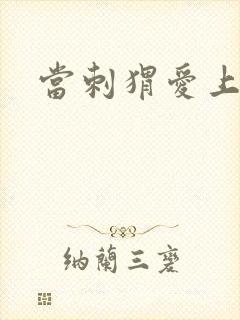 当刺猬爱上玫瑰