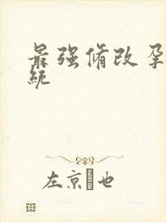 最强修改孕妇系统