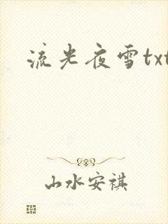 流光夜雪txt