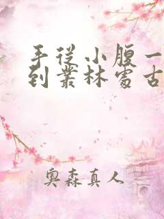 手从小腹一路开到丛林处古代