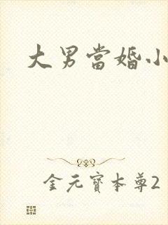 大男当婚小说