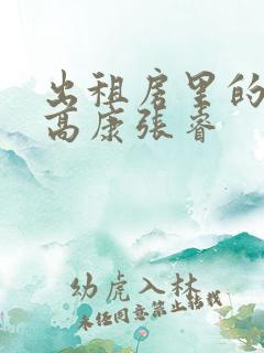 出租房里的交互高康张睿