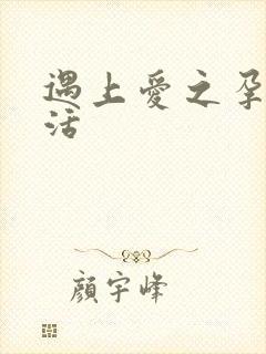 遇上爱之孕夫生活