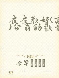 夜夜欢好(高h)公翁的欢爱