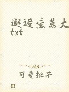 邂逅亿万大人物txt