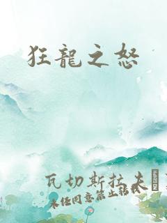 狂龙之怒