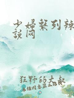 少妇系列辣文小说网