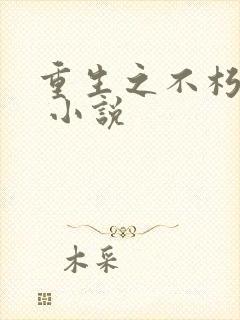 重生之不朽传奇 小说