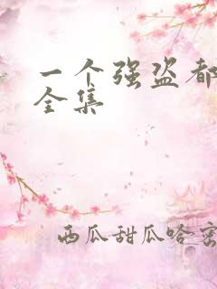 一个强盗都不留全集