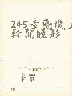 245章飞机上干关晓彤