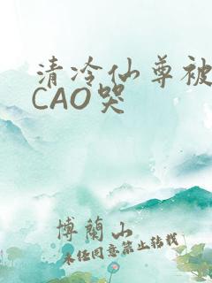 清冷仙尊被强制CAO哭