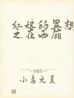 红娘的异想世界之在西厢