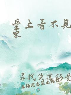 爱上看不见的房东