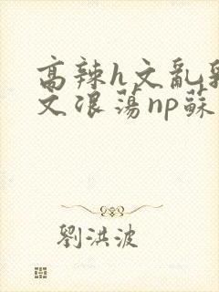 高辣h文乱乳h文浪荡np苏夏