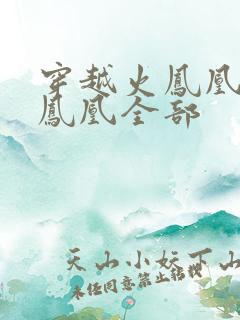 穿越火凤凰干火凤凰全部