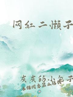 网红二懒子车祸