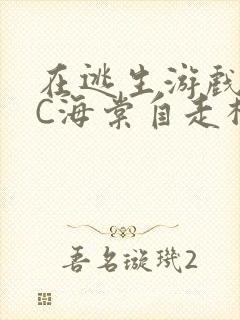 在逃生游戏里挨C海棠自走棋