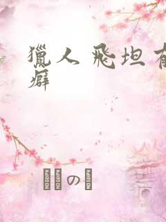 猎人 飞坦有洁癖