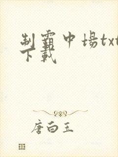 制霸中场txt下载
