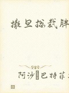 撒旦总裁胖前妻