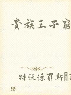 贵族王子穷公主