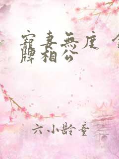 宠妻无度  金牌相公