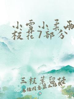 小雪小柔两个大校花7部分