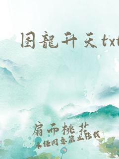 困龙升天txt