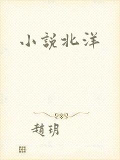 小说北洋
