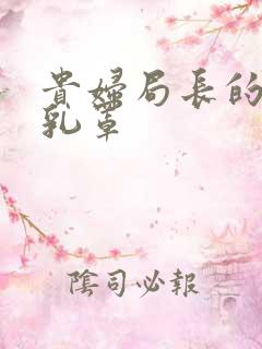 贵妇局长的蕾丝乳罩