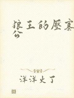 狼王的压寨小相公