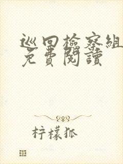 巡回检察组小说免费阅读