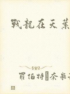战龙在天叶凡