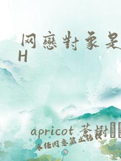 网恋对象是教官H