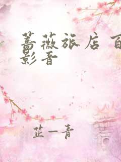 蔷薇旅店 百度影音