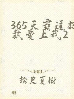 365天霸道总裁爱上我2