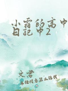 小霜的高中成长日记中2