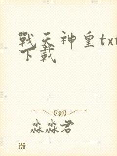 战天神皇txt下载
