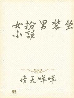 女扮男装坐江山小说