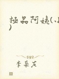 极品阿姨(小说)