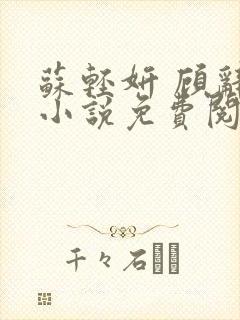 苏轻妍 顾辞笙小说免费阅读