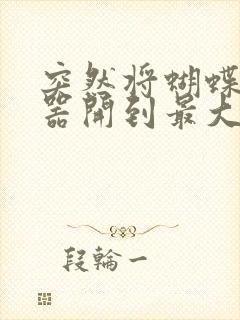 突然将蝴蝶遥控器开到最大