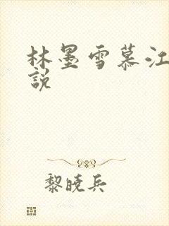 林墨雪慕江行小说