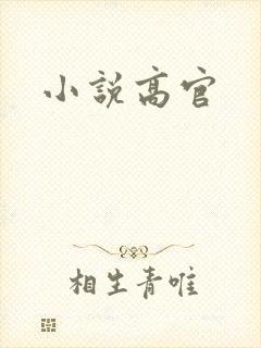 小说高官