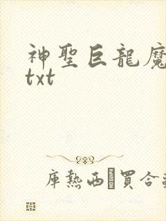 神圣巨龙魔法师txt